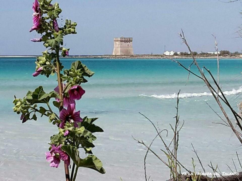 Casale Salento Bed & Breakfast นาร์โด ภายนอก รูปภาพ